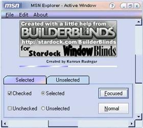 MSN Explorer