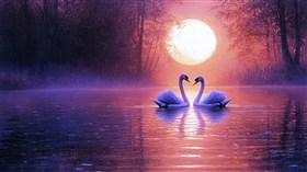 Swanz V1