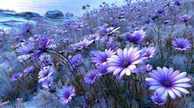 Seashore