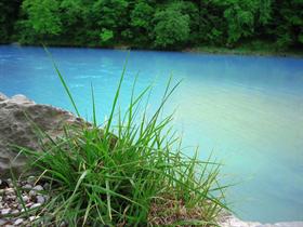 Nature Stills: Blue River