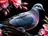 a dove among flowers