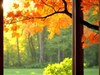 An open window