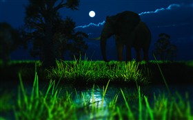 In Pursuit of a Tusker