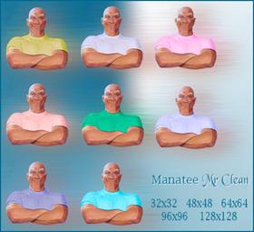 Manatee Mr Clean