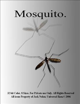 mosquito