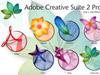 Adobe Creative Suite 2