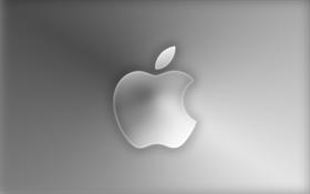 Apple Wallpaper