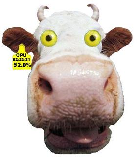 MAD COW