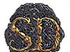 Supreme Destiny PNG