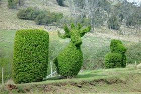 Topiary at St Peter's Pass