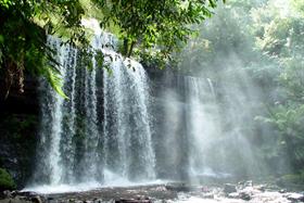 Russell  Falls in the Mist