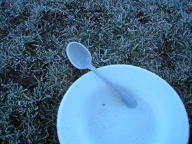 Frozen Bowl n' spoon