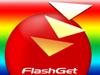 Flashget Icon