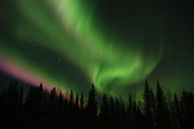 Alaska Aurora (Northern Lights)