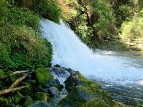 Waterfall in forest