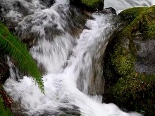 Waterfall Splash