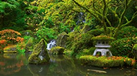 Alluring_Japanese_Garden_Pond