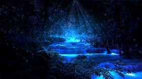 Mystical_Blue_Forest_River