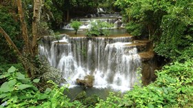 Rainforest Waterfall