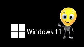 Win11 Hello