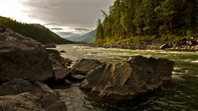 Forest River HDR