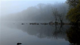 Foggy Lake