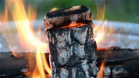 Fire Log