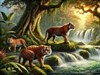 4K Tiger River