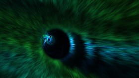 Peacock feathers