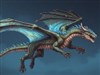 The Dragon
