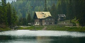 black vulture? over austrian lake