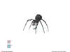Aracnid
