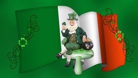 Saint Patricks Day 2010