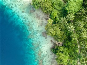 Tropical Beach from Above