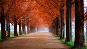 Line of Autumn Colors