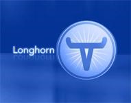 Windows XP Longhorn AIM Logon