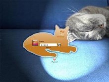 Wake Up Kitty