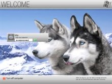 Vista Gray