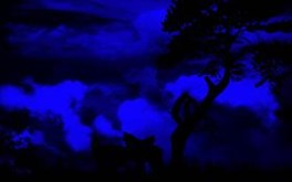 Dark Night.