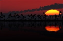 Lost Paradise