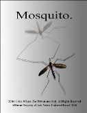 mosquito