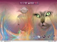 Enchanted Cat