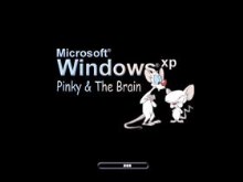 Pinky & The Brain