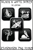 Black & white Bird icons