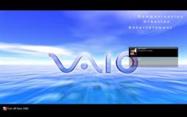 Vaio blue