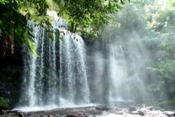 Russell  Falls in the Mist