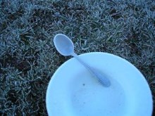 Frozen Bowl n' spoon