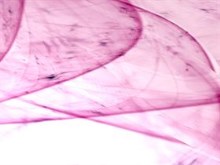Pink Layers