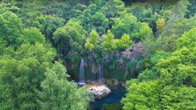 Gorgeous Hidden Forest Falls