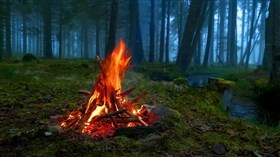 Nice Forest Campfire